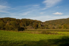 algersdorf-landschaft-00